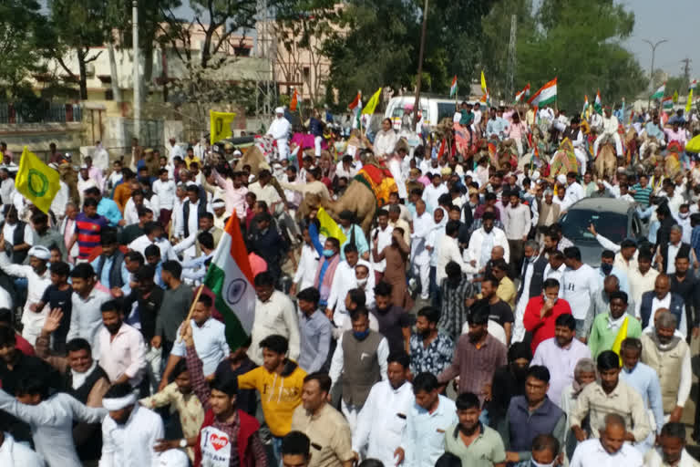 Churu news, Congress camel rally