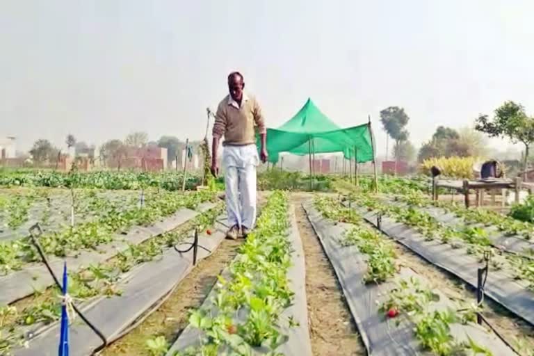 jind farmer hawa singh