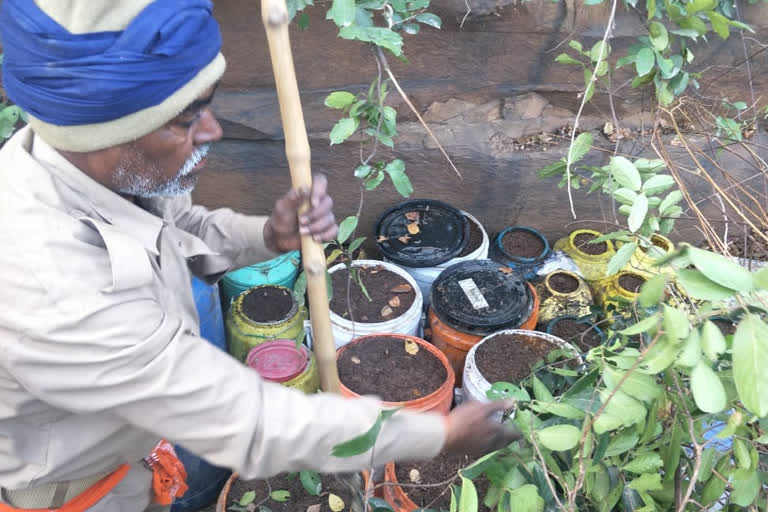 illegal liquor breweries in Kaimur