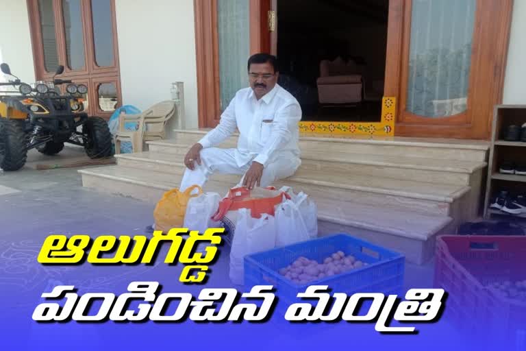 agriculture minister niranjan reddy cultivated sweet potato in wanaparthy