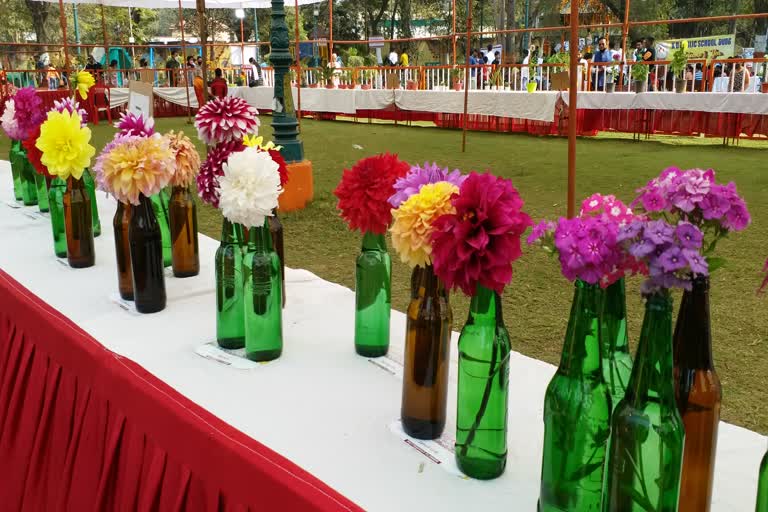 flower-show-organized-at-maitri-bagh-durg