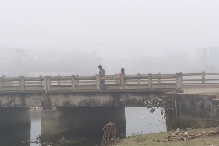 Araria: Morning and evening fog, people are not relieved by the cold