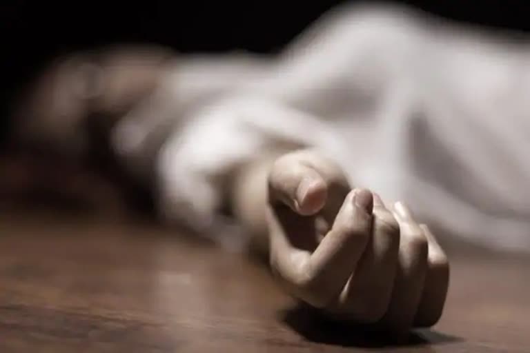 Alwar news, Dead body found in Alwar