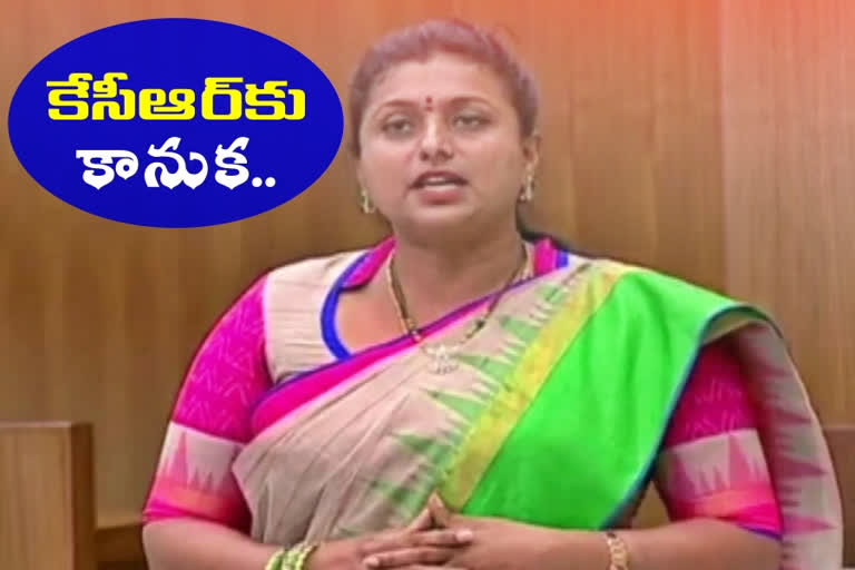 mla roja