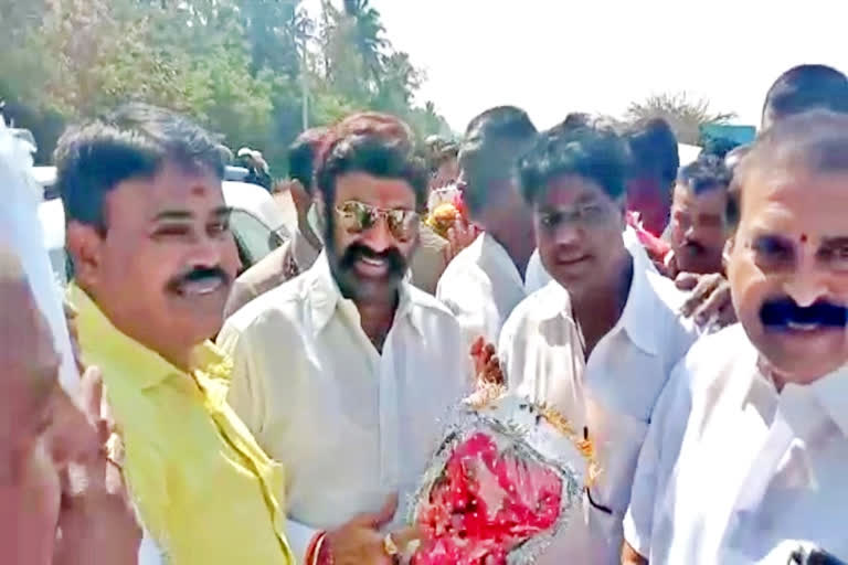 mla balakrishna directs leaders and activists on panchayat elections in anantapur district