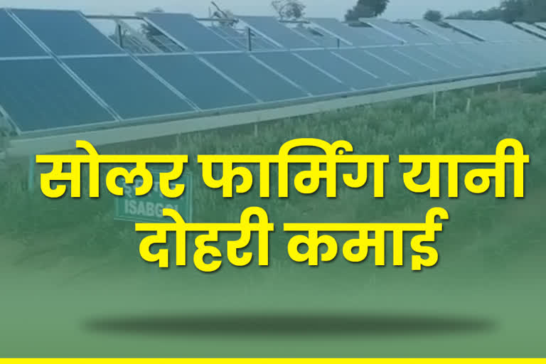 double income from solar farming, solar farming jodhpur,  केंद्रीय शुष्क क्षेत्र अनुसंधान संस्थान काजरी जोधपुर,  काजरी संस्थान जोधपुर,  कुसुम योजना राजस्थान,  Central Arid Zone Research Institute, Kazri Jodhpur,  Kazri Institute Jodhpur, Kusum Yojana Rajasthan