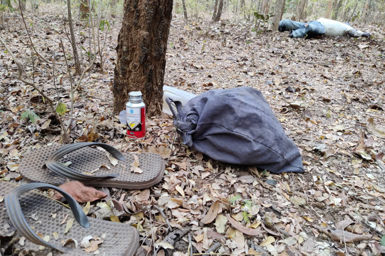 Elderly corpse found in forest OF Balod