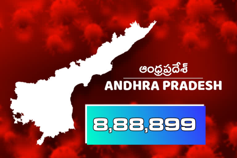 30 new corona cases in ap