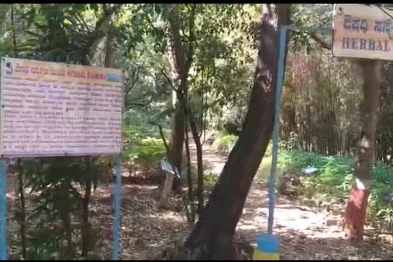 aadhar card mandatory to visit sanjeevini park