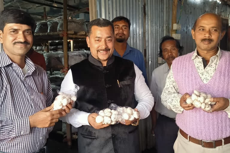 button mushroom to tripura