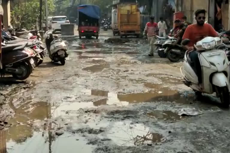 उपमहापौरांच्या प्रभागातच नागरी समस्यांचा विळखा