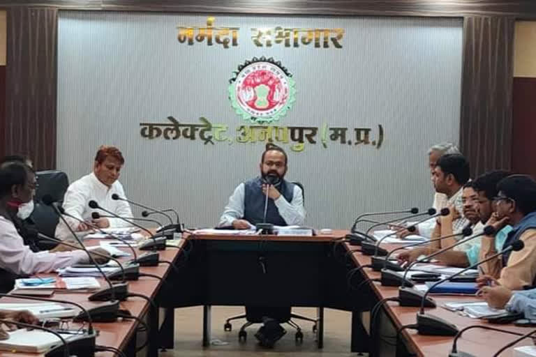 Collector during review meeting