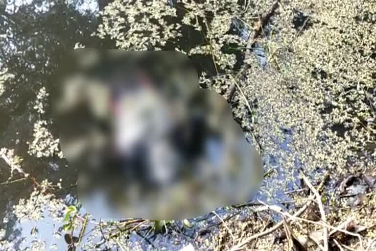 body found from pond