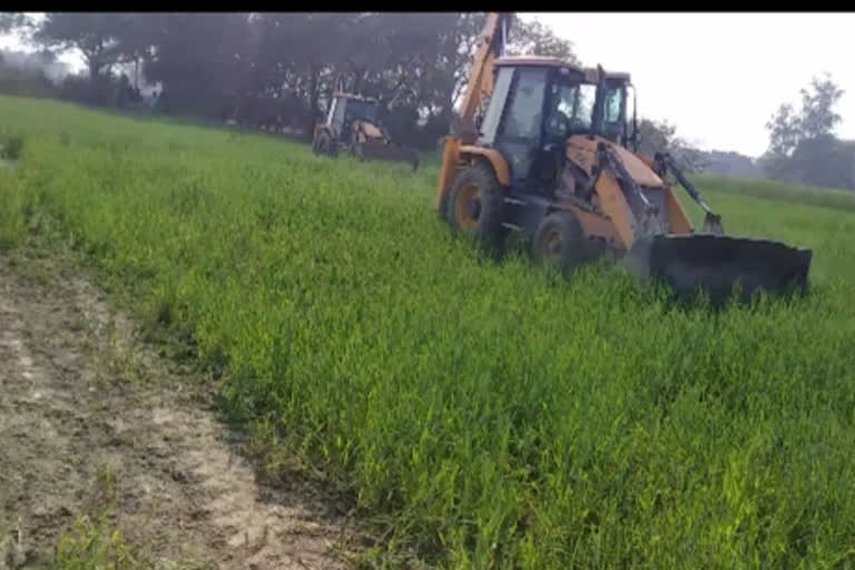 crop destroyed in kaimur