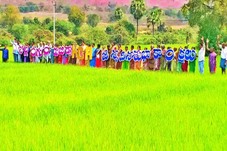 cm kcr birthday celebrations in peddapalli district