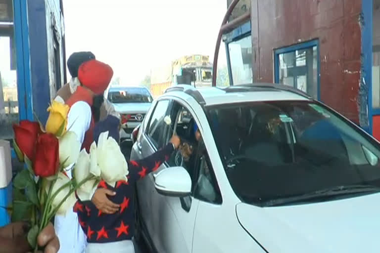 Farmers distributed roses shambhu border