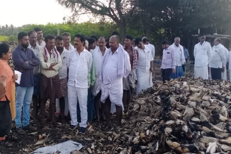 MLA t raghumoorthy visited koonabevu village of chitradurga