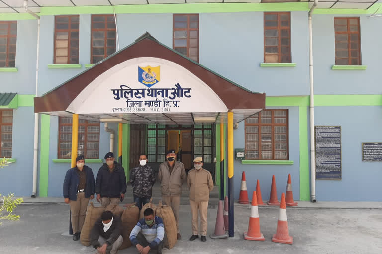 Three people arrested with Nag Chhatri and Poppy Straw in Mandi