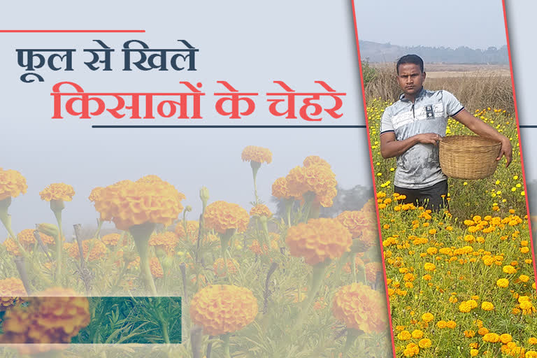 marigold-flower-cultivation-changed-the-lives-of-farmers-in-jamshedpur
