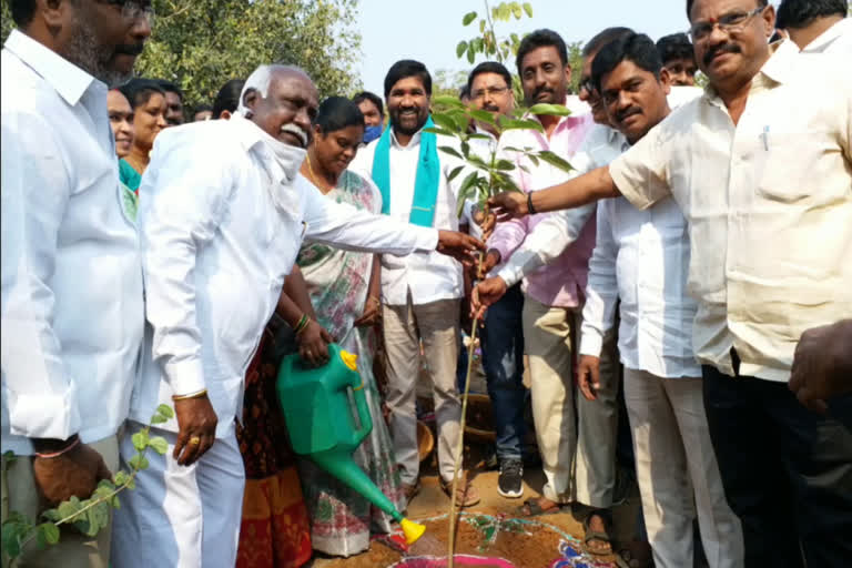 MLA Durgam Chinnayya planted plants in 'Koti Vriksharchana'