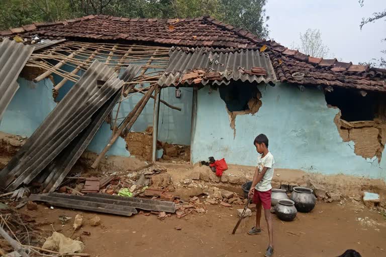 wild-elephant-destroyed-crude-house-in-ranchi