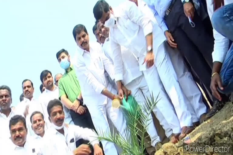 minister vemula prashanth reddy plantation at kamareddy district