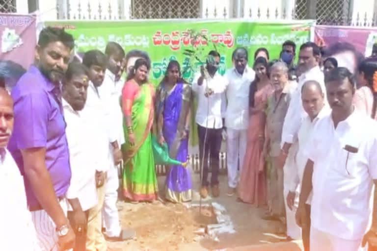 Deputy speaker Padma Rao Goud participated in the special harithaharam to mark the birthday of CM KCR