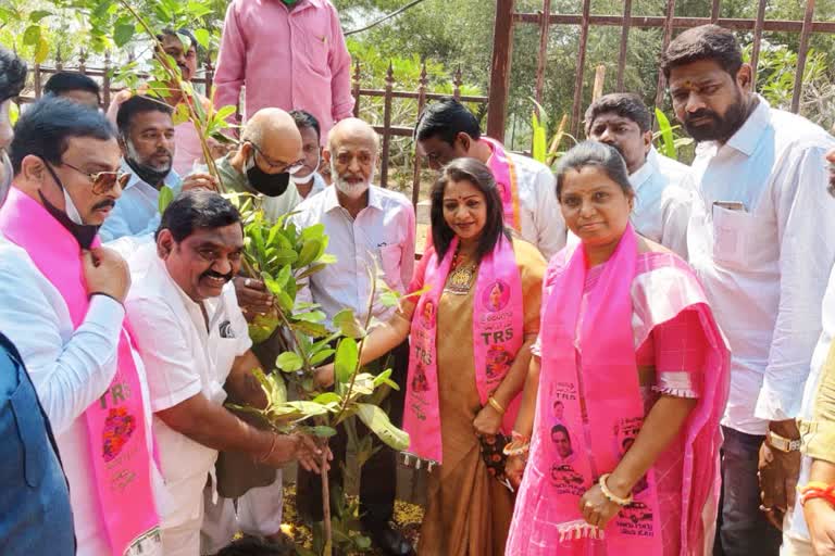 mayor gadwala vijayalaxmi planted tree in banjarahills hmda park