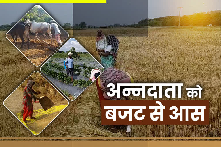 Expectations to farmers from Jharkhand government budget