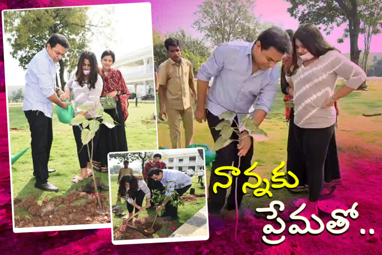 minister ktr plantation on kcr birthday