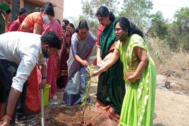 Minister Satyavathi planted plants in Koti Vriksharchana