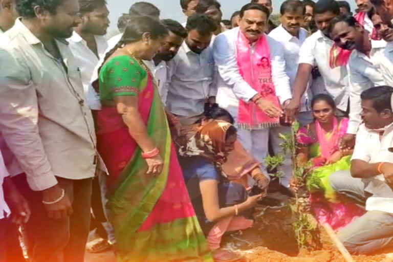 CM KCR birthday celebration at KTR Park in Vempadu in Nalgonda district