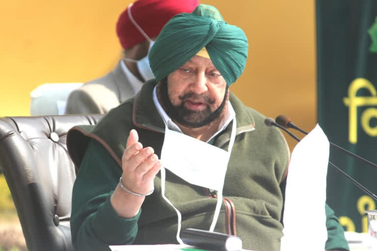 CM Amarinder