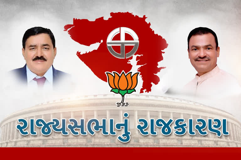 રાજ્યસભામાં ભાજપના 2 ઉમેદવારો ફોર્મ ભરશે