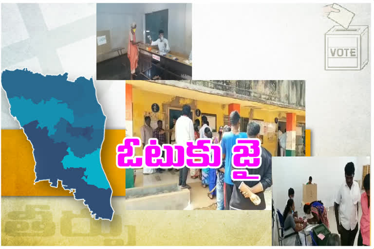 nellore district panchayati elections