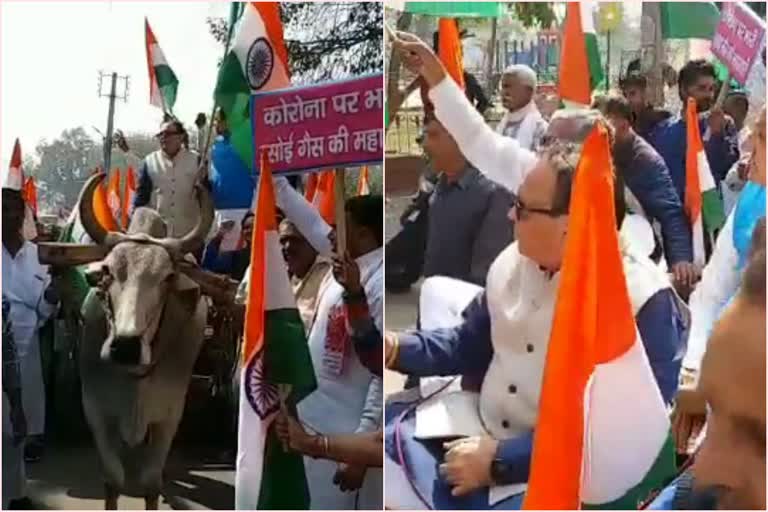 former-haryana-minister-ajay-yadav-protest-against-rising-inflation-on-bullock-cart