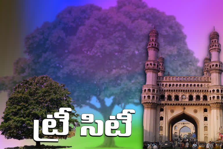 hyderabad-city-recognized-as-the-tree-city-of-the-world