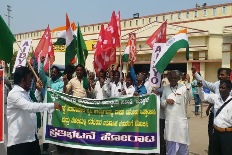 Koppal farmers protest