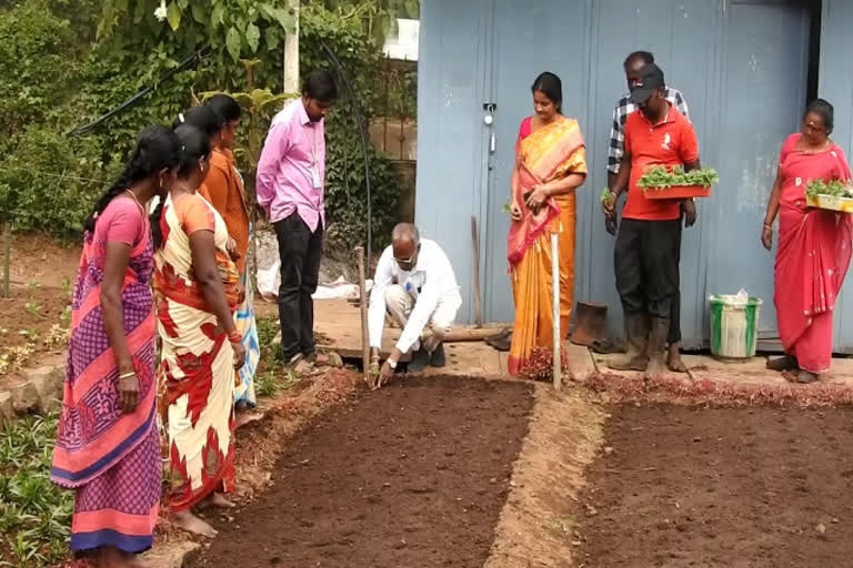 பிரையண்ட் பூங்காவில் 59ஆவது மலர் கண்காட்சி