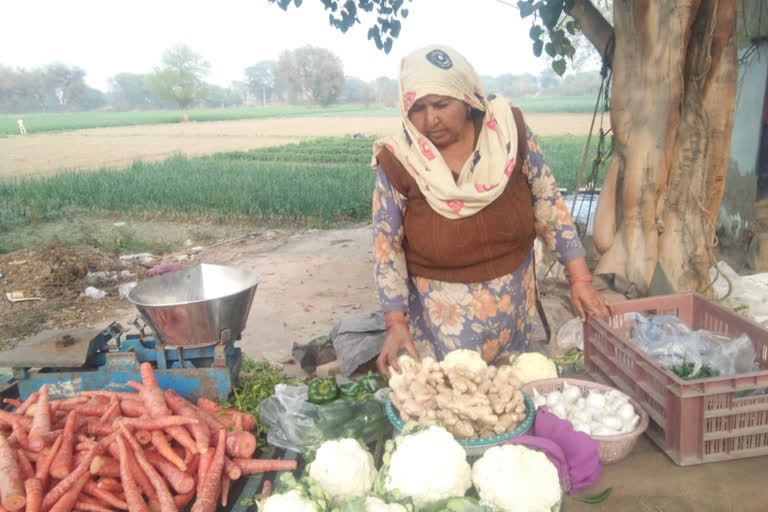 Vegetable farmers are in trouble due to farmer protest