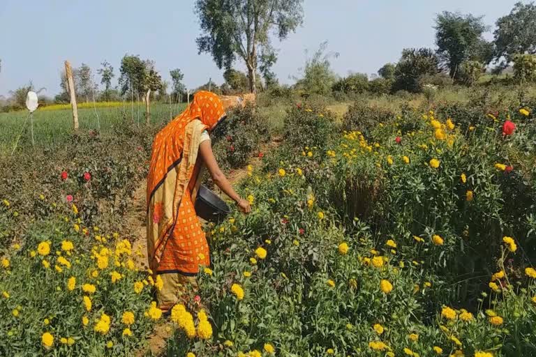 Flower farming