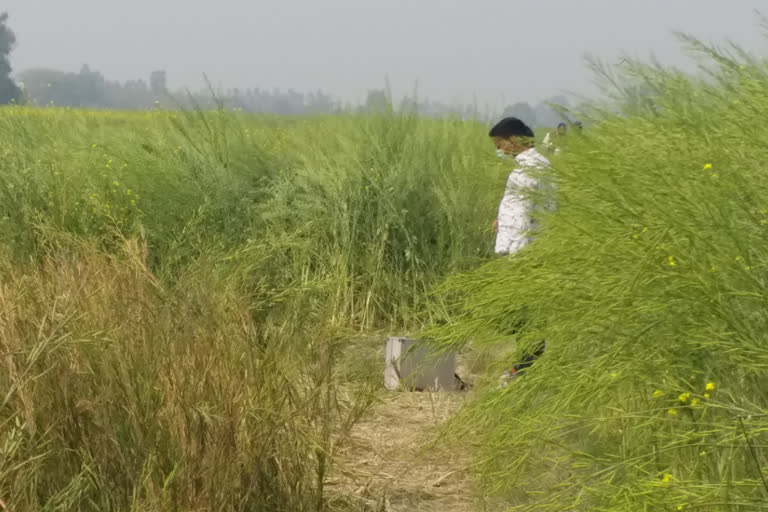 उन्नाव कांड