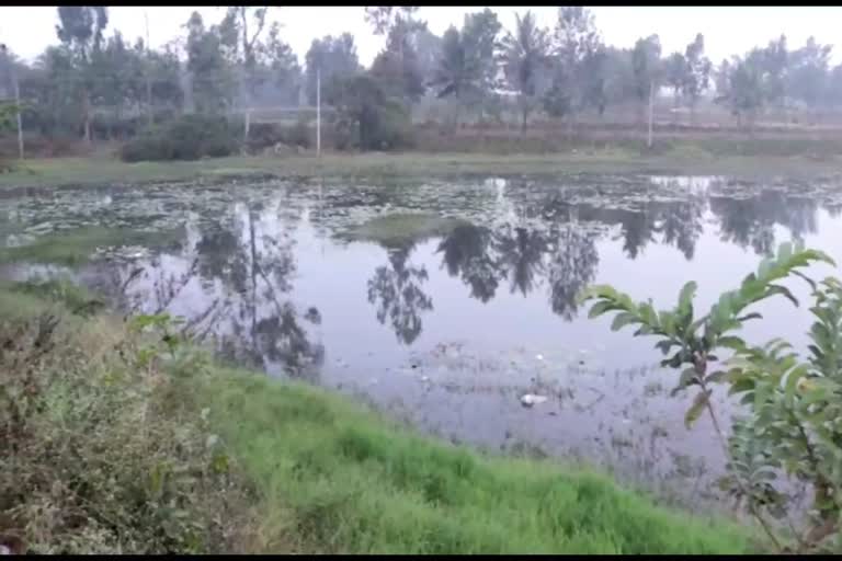 ಪಲ್ಟಿಯಾಗಿ ಕೆರೆಗೆ ಹಾರಿದ ಕಾರು