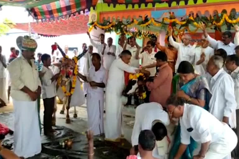 gomata kalyanam at gandlapenta in ananthapur