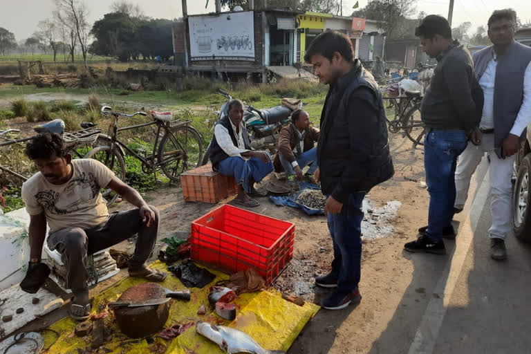 प्रतिबंधित मछलियों की बिक्री को लेकर हुई छापेमारी, विभाग ने चेतावनी देकर छोड़ा