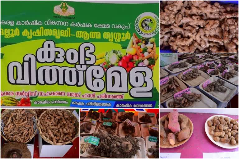 Seed Fair kicks off in Ollur  Ollur  തൃശൂർ  തൃശൂർ വാർത്തകൾ  ഒല്ലൂർ വാർത്തകൾ  കാർഷിക മേഖല  ഒല്ലൂക്കര ബ്ലോക്ക് പഞ്ചായത്ത്