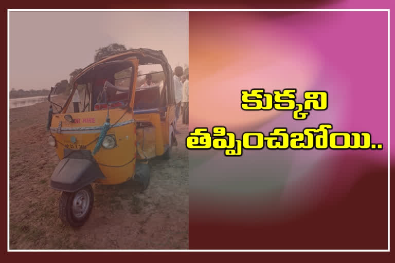 Avoid the dog and overturn the auto in medak district