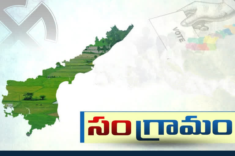 ap elections