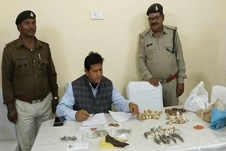 remains of wild animals recovered in Ratlam