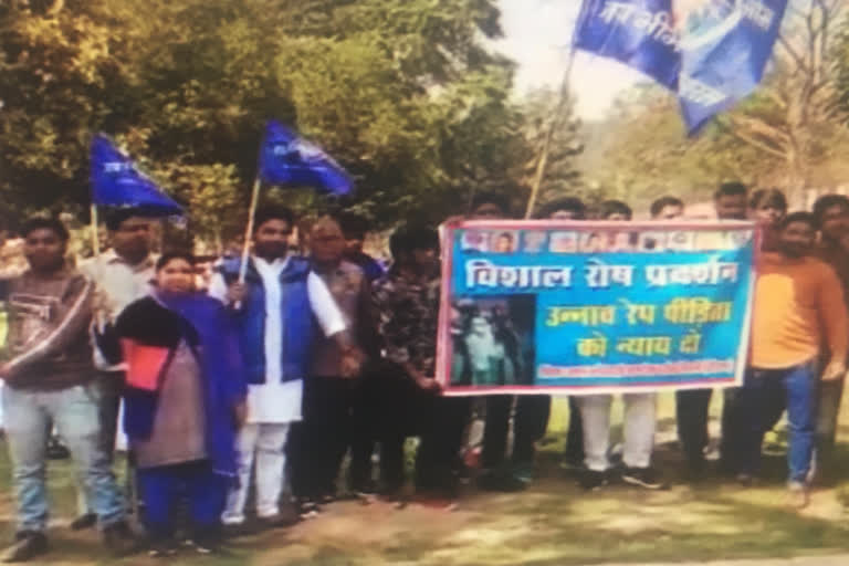 ambedkar activists protest against unnao case  in bhiwani